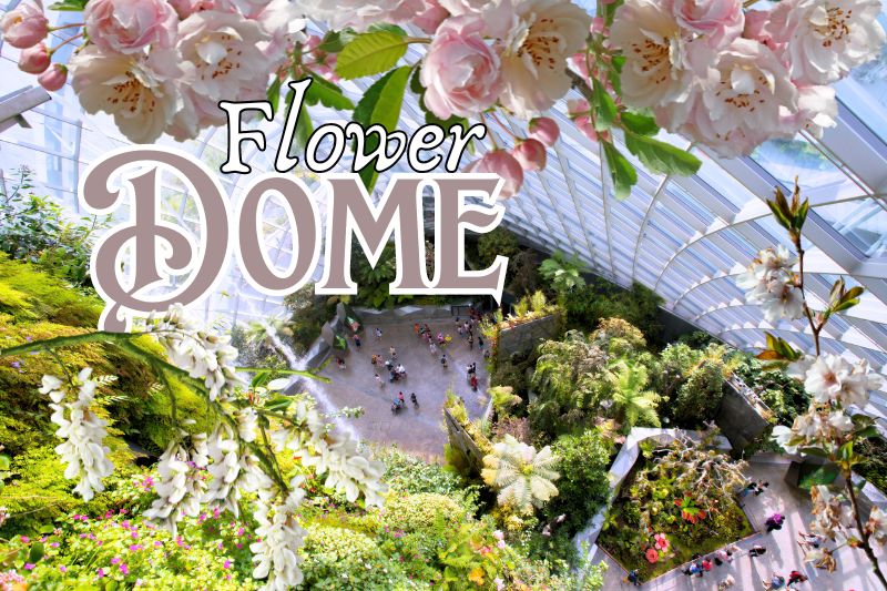 Flower Dome - Everything You Need To Know About Before Visiting