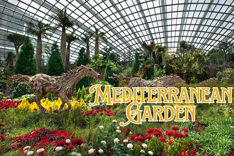 Mediterranean Garden Singapore Flower Dome