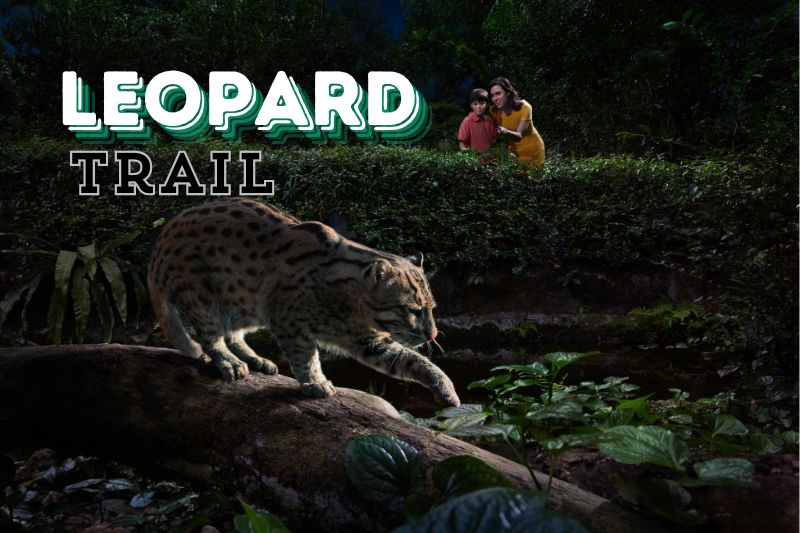 Leopard Trail Experience