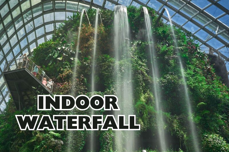 Marvel at the Indoor Waterfall Of The Cloud Forest