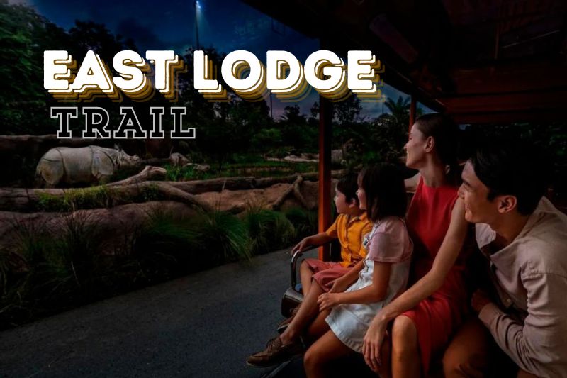 The East Lodge Trail Adventure