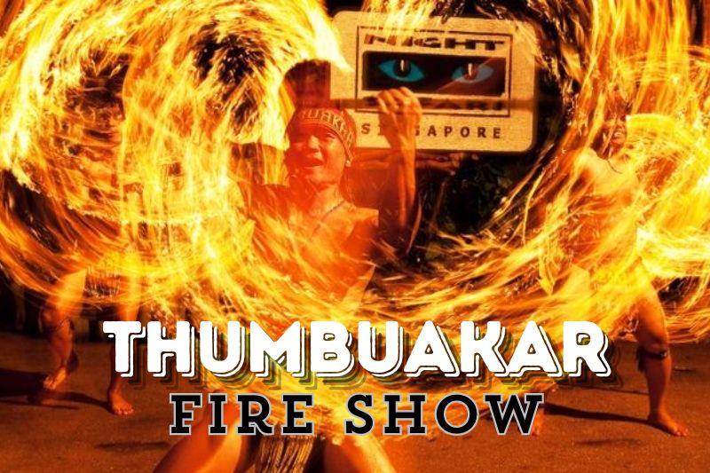 The Thumbuakar Fire Show