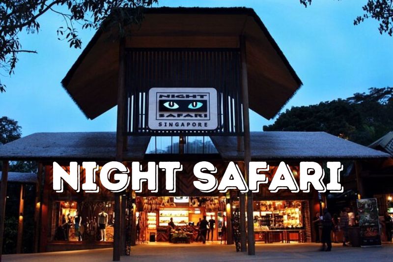 Top Shows and Performances at the Singapore Night Safari