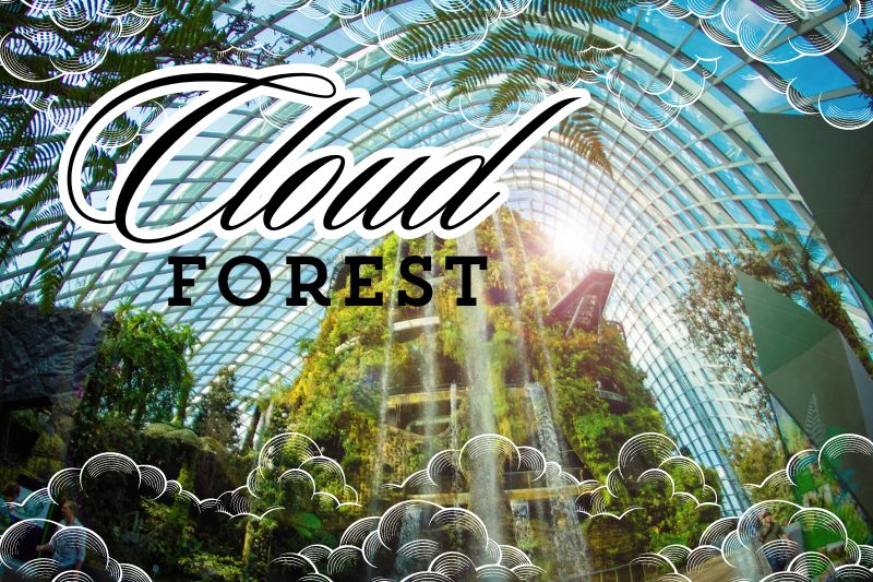 What Is The Cloud Forest In Gardens By The Bay