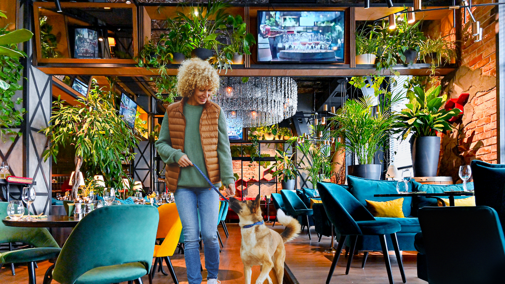 5 Best Dog Cafes in Singapore for Pet Lovers in 2024