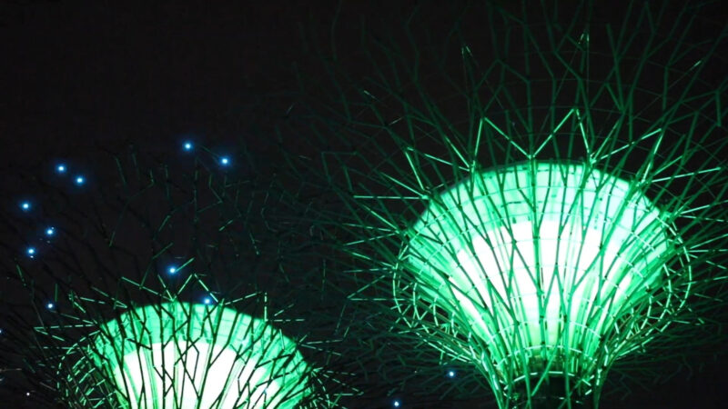 Garden Rhapsody Light Show - gardens of Bay Singapore at night