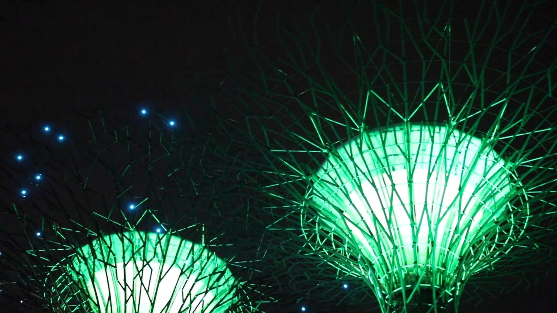 Garden Rhapsody Light Show - gardens of Bay Singapore at night