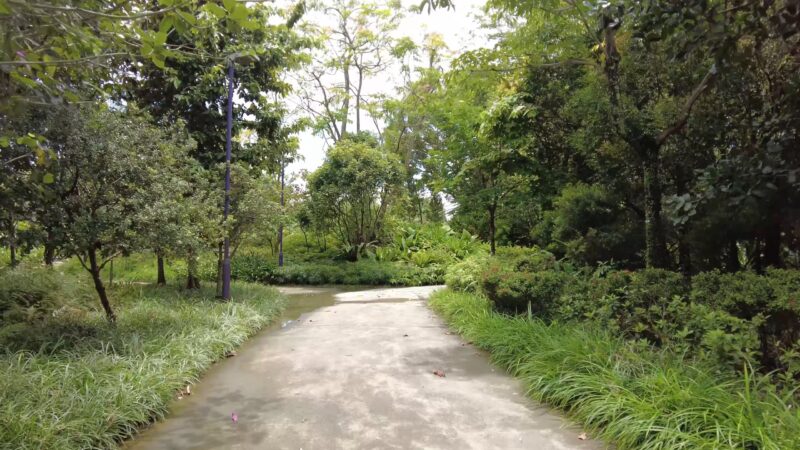 Kingfisher Wetlands Bay Singapore-min