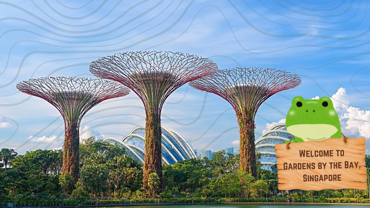 gardens of Bay Singapore - Ultimate Nature Experience - enjoy