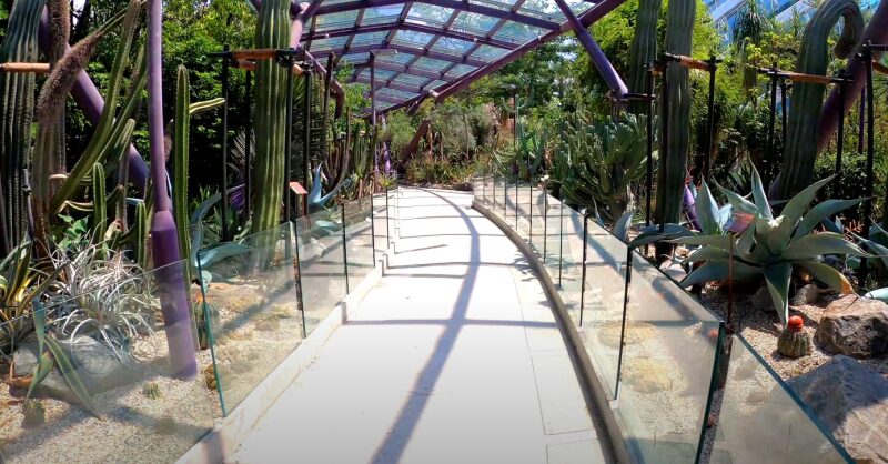 A Glass-Covered Walkway at The Sun Pavilion in Gardens by The Bay