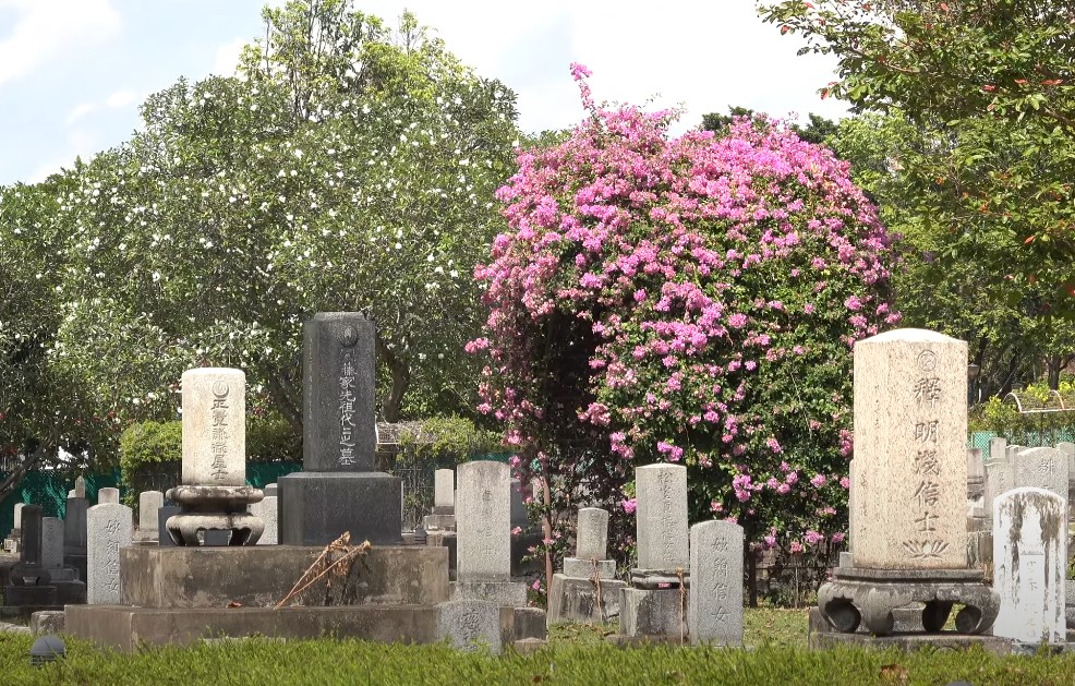 View on the Japanese Cemetery Park surrounded by nature