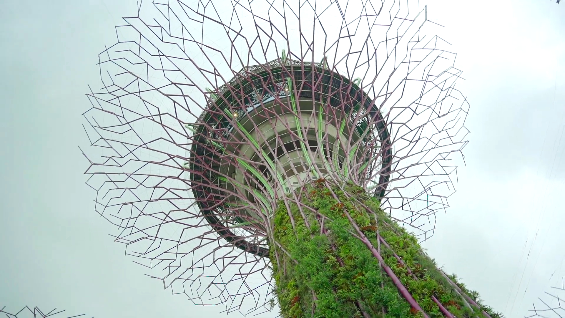 Close-up view of the Supertree Grove in Gardens by the Bay, Singapore, showing the towering structure with greenery growing along the base