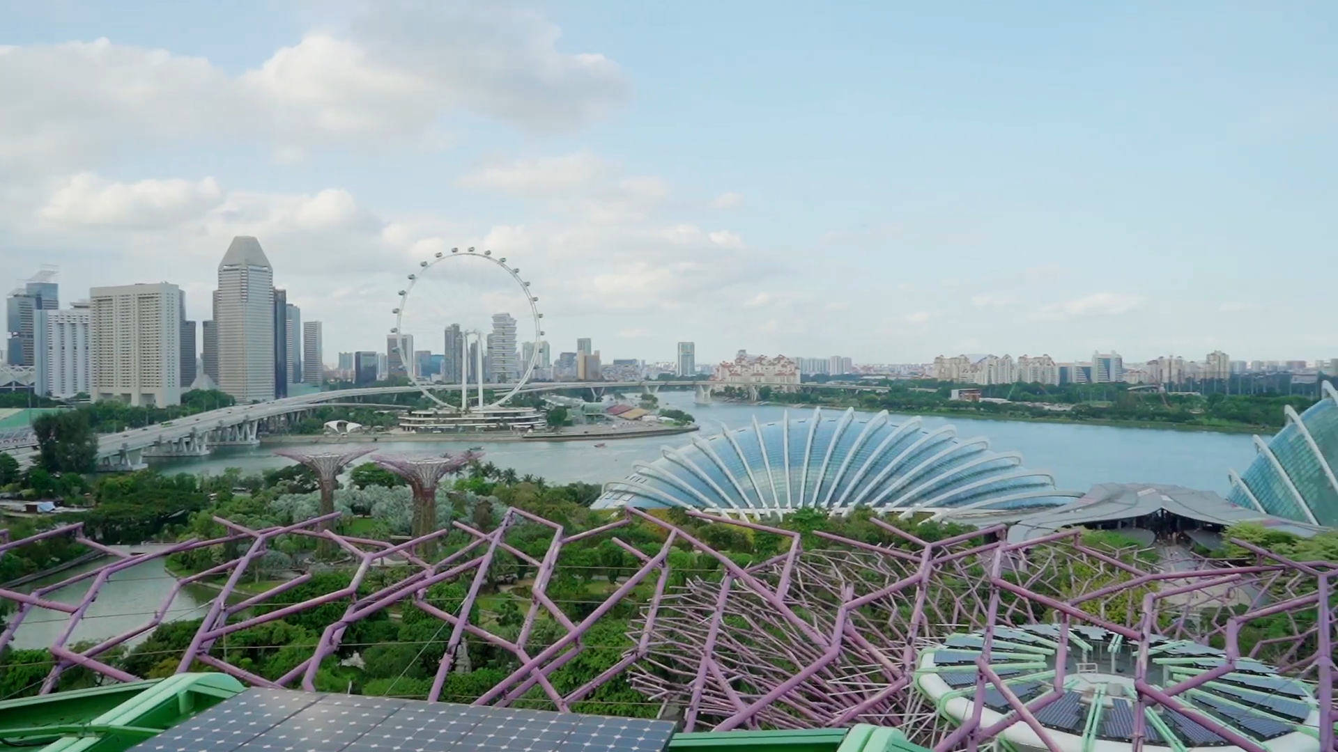 panoramic view from the Supertree Observatory, with the futuristic Supertrees, the Singapore Flyer, and the glass domes of Gardens by the Bay