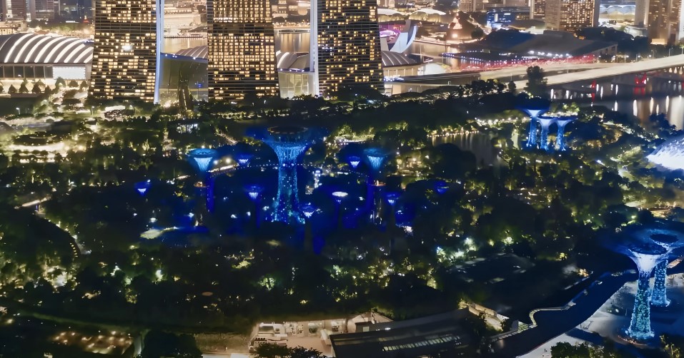 Aerial View of Gardens by the Bay