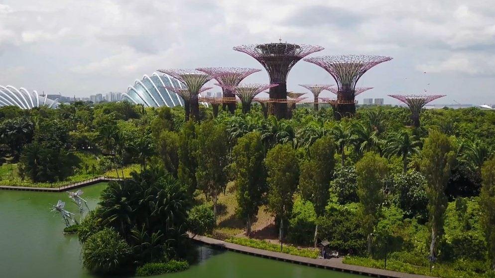 Lush greenery surrounds towering structures, showcasing a blend of nature and modern architecture