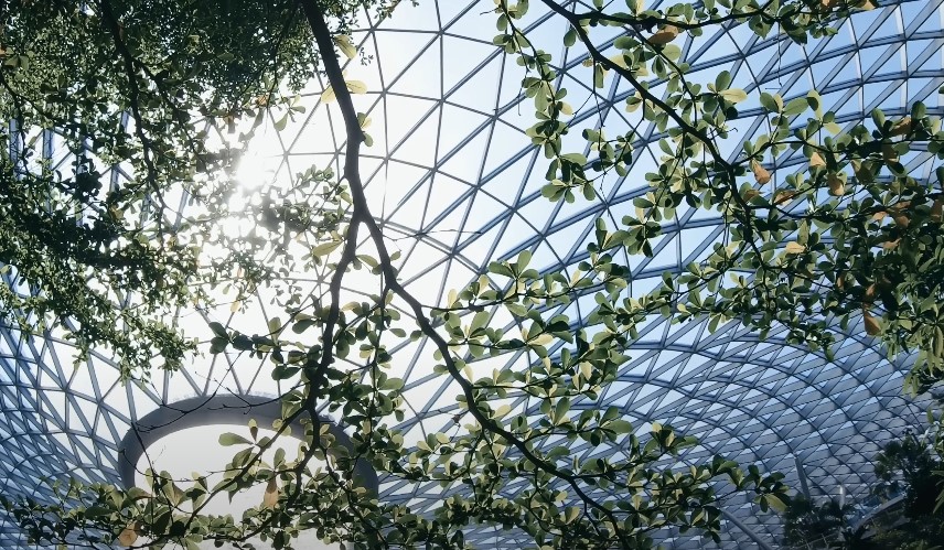 Lush greenery filters sunlight through a modern glass dome